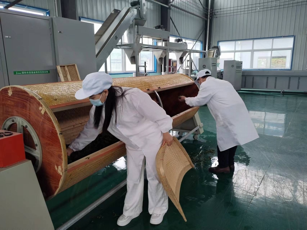 陜煤建設(shè)定點幫扶村:“天池大碗茶”促進產(chǎn)業(yè)發(fā)展正循環(huán) 陜煤建設(shè)定點幫扶村:“天池大碗茶”促進產(chǎn)業(yè)發(fā)展正循環(huán)